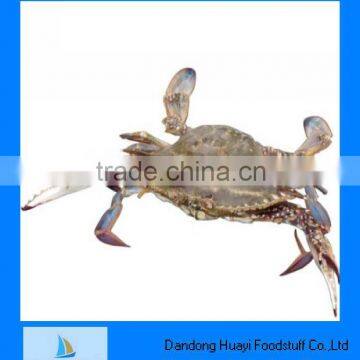 Fresh frozen seafood good quality crab in new season