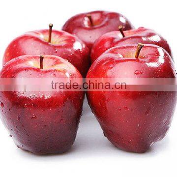 2015 China Fresh Tianshui Huaniu Apples with Lowest Price