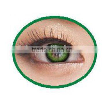 Wholesale 15.00 Soft Colored Contacts Year Naty b Color Contact Lens photo-3