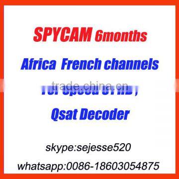 Hot selling spycam for 36E,68.5E AND 22W french channels for all qsat model with new software released