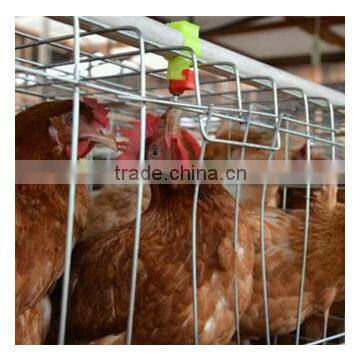 Best Price 96 Chickens Cage Chicken Cage Factory in China photo-3