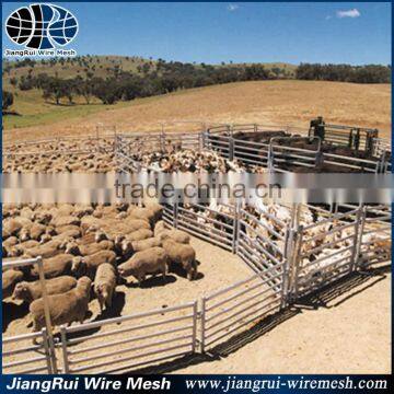 Professional Supplier of Cattle Panel photo-3
