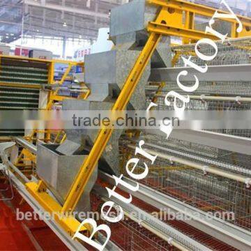 Best selling professional automatic poultry feeding machine for chicken farm