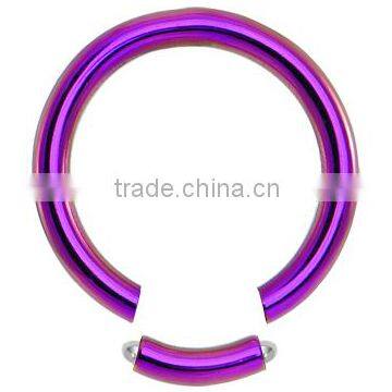 12 Gauge Purple Anodized Titanium Segment Ring