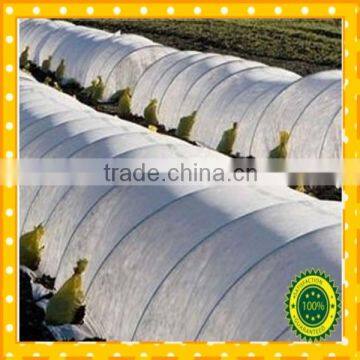 chinese-sexy non-woven raw material for non woven bags non woven fabric roll