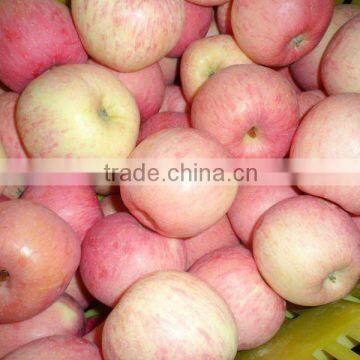 fresh red fuji apple 20kg carton packing