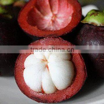 MANGOSTEEN