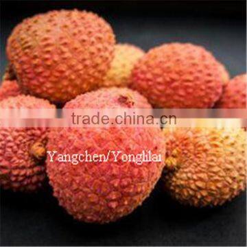 new products lychee flavour canned in low sugar