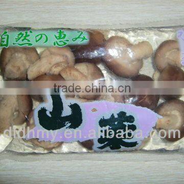 good price of shiitake mushroom recipes