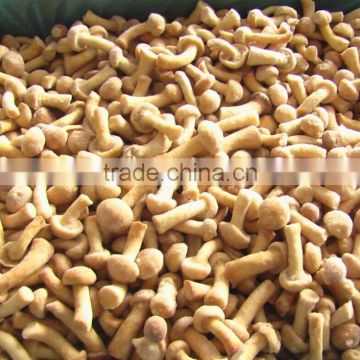 IQF nameko mushroom/frozen nameko mushrooms