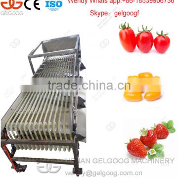 Stainless Steel Best Price Dates Sorting Machine