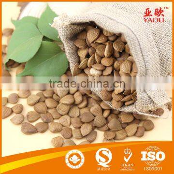 Good price high quality bitter apricot kernels