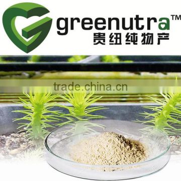 Huperzia Serrate extract powder(1-98%Huperzine A HPLC)