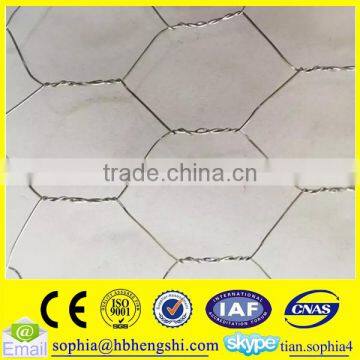 Galvanized PVC 1/2 Inch Hexagonal Chicken Wire Mesh