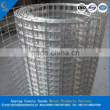 Best Price Welded Wire Mesh photo-3