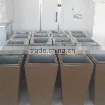 Flower and Tree Pot photo-2