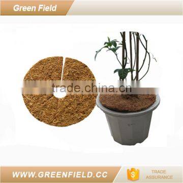 coco peat disc using for seeding nursery