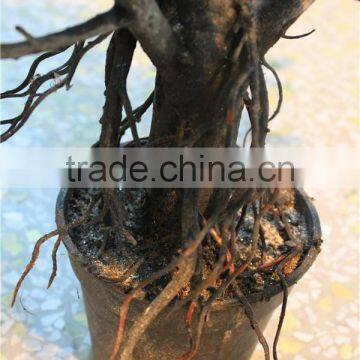 2016Hot Sale Potted Christmas Tree Artificial Pre Lit Potted Artificial Christmas Tree photo-4