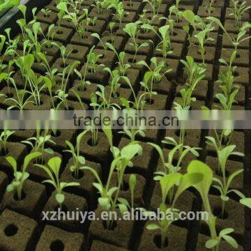 Wet Floral Foam for Agriculture Soilless Seedings Planting photo-5