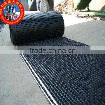 Plastic drain board