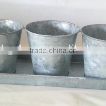 Galvanized flower pots set 3pcs in tray/ herb tray