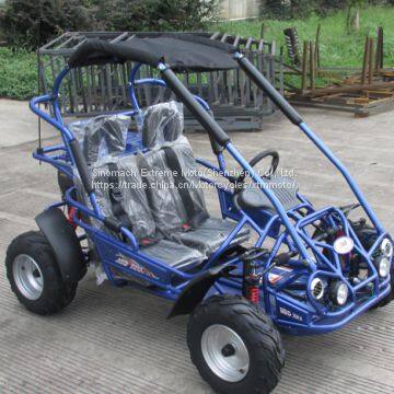 Chinese Petrol Kids Electrick Start Buggy Price photo-3