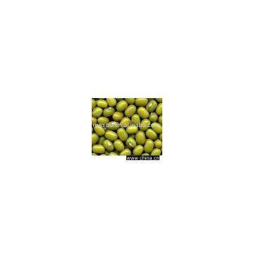 Mung Bean