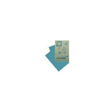 Thermal CTP Plate: Bravo