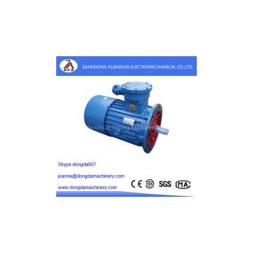 DSB series explosion-proof motor