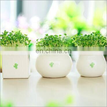 Mini creative plant grass western style cup shaped ceramic flowerpot