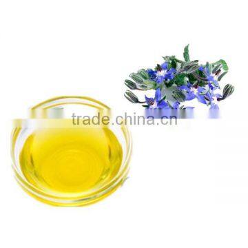 borage essence oil with100% pure free sample