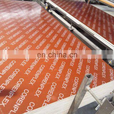 concrete building construction 1220*2440*15mm  film faced plywood formwork shuttering plywood