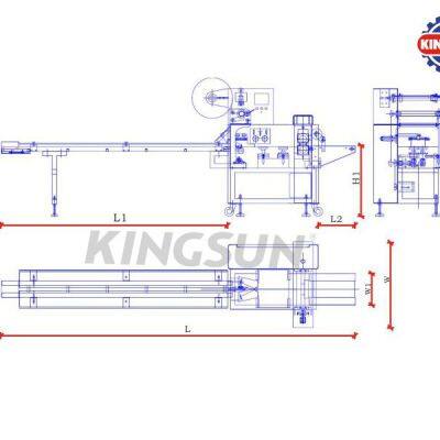SMZ-420 Pillow Packing Machine photo-2