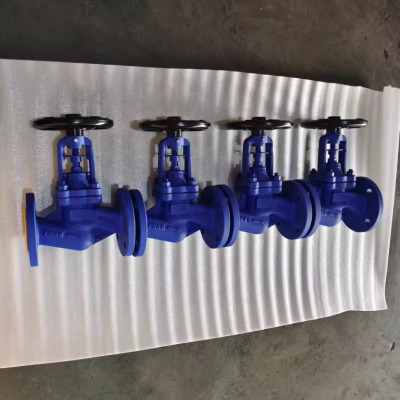 DIN Flange Bellows Seal Globe Valve PN16-PN40 Cast Iron GG25 GGG50 Cast Steel WCB Bellows Globe Valves photo-6