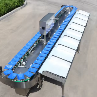 Automatic Melon Watermelon Sweet Melon Fruit Sorting Grading Machine Sorter Grader Machine Line