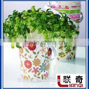 Iml Film / in Mould Label