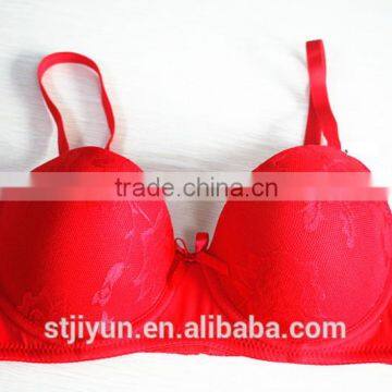 Wholesale Cheap Ladies Sexy Bra