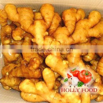 Fresh ginger big qualified 150 gram 150gr+ middle east Arabic Pakistan