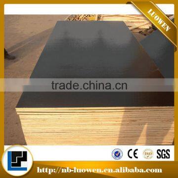 New innovative products 2016 birch veneer film faced plywood made in china 