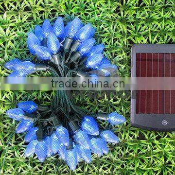 Solar Garden Light(C7 strawberry)