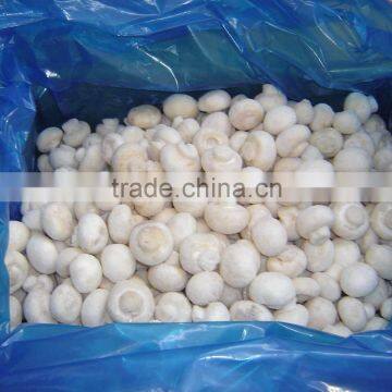 IQF Champignon Mushroom, Frozen Agaricus Bisporus