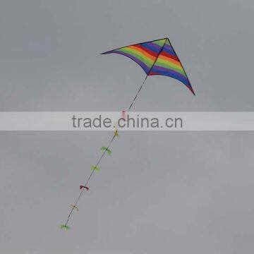 Children kite Rainbow Delta kite from kite Factory