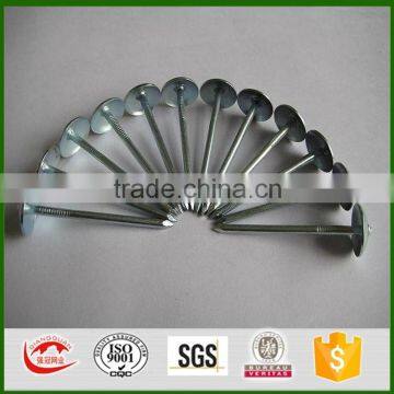 Q195 umbrella head twist shank roofing nails factory