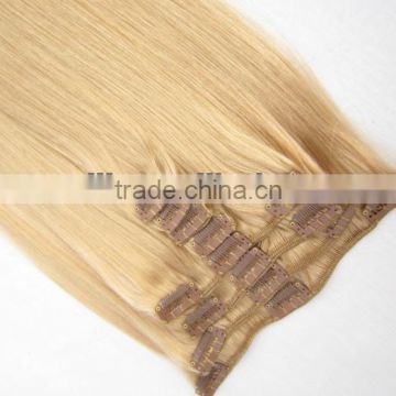 White Hair Long Silky Straight Human Remy Hair Clip In Hair Weft Extension