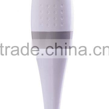 Cixi factory best hot sale 2 speed hand stick blender HB-01