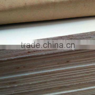 Eucalyptus core laminated melamine plywood