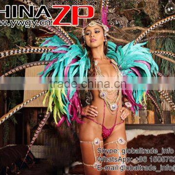 Leading Supplier CHINAZP Bulk Sale Good Quality 35-40cm Length Raw Natural Reeves Venery Pheasant Tail Feathers photo-3