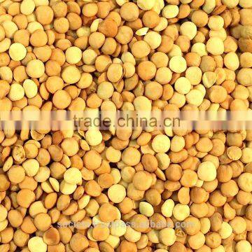 Australian Green Whole Lentils