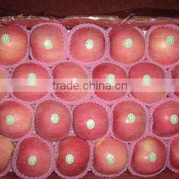 fresh fuji apple market price