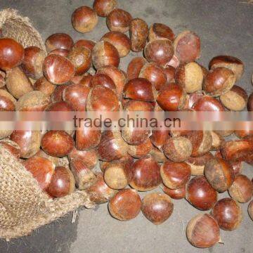 Chestnut /roasted chestnut/frozen chestnut